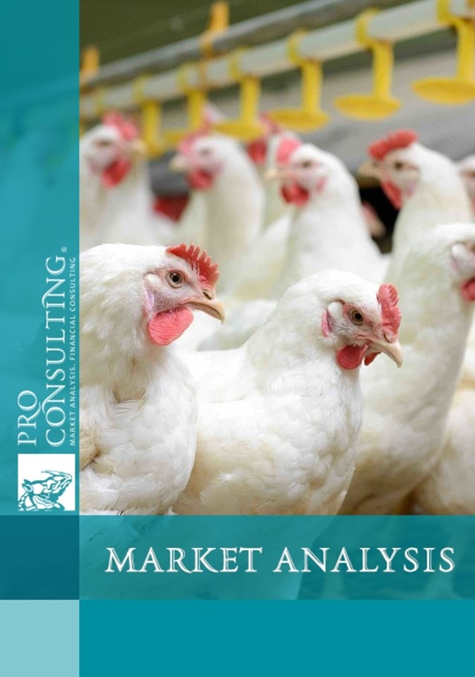 Analysis of the poultry market in Ukraine. 2025